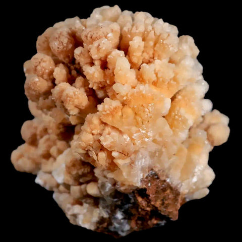 4.2" Botryoidal Aragonite Cave Calcite Crystal Cluster Mineral Specimen Morocco - Fossil Age Minerals