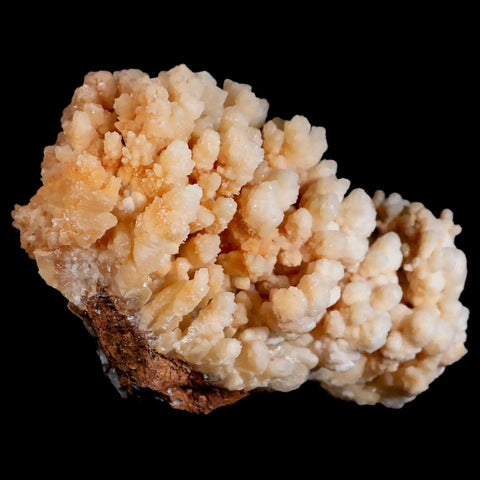 4.2" Botryoidal Aragonite Cave Calcite Crystal Cluster Mineral Specimen Morocco - Fossil Age Minerals