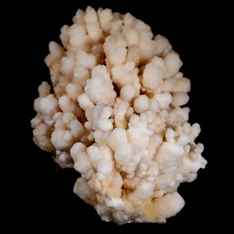 4.2" Botryoidal Aragonite Cave Calcite Crystal Cluster Mineral Specimen Morocco - Fossil Age Minerals