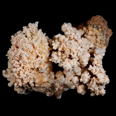 XL 6" Botryoidal Aragonite Cave Calcite Crystal Cluster Mineral Specimen Morocco