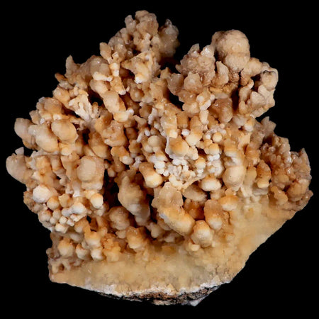 XL 5" Botryoidal Aragonite Cave Calcite Crystal Cluster Mineral Specimen Morocco