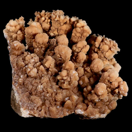 XL 5.4" Botryoidal Aragonite Cave Calcite Crystal Cluster Mineral Specimen Morocco