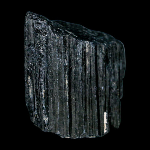 1.9" Natural Rough Black Tourmaline Mineral Crystal Specimen Schorl Brazil - Fossil Age Minerals