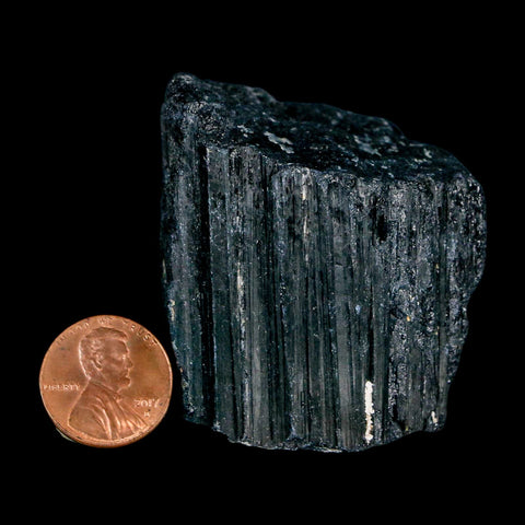 1.9" Natural Rough Black Tourmaline Mineral Crystal Specimen Schorl Brazil - Fossil Age Minerals
