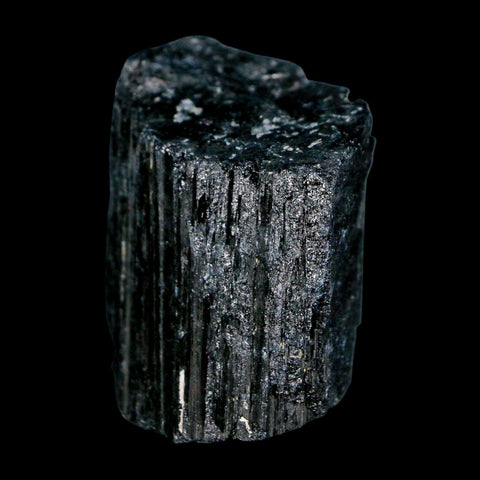 1.9" Natural Rough Black Tourmaline Mineral Crystal Specimen Schorl Brazil - Fossil Age Minerals