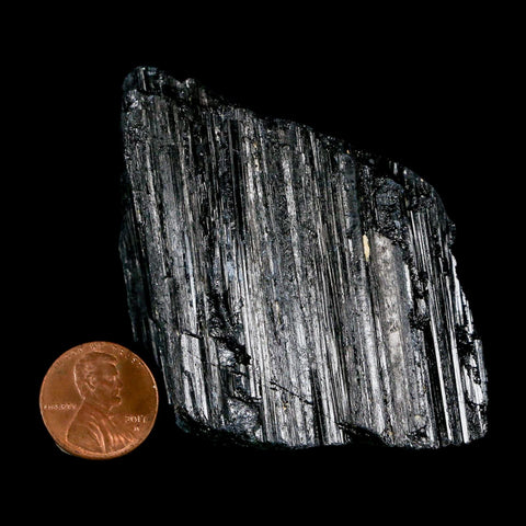 2.4" Natural Rough Black Tourmaline Mineral Crystal Specimen Schorl Brazil - Fossil Age Minerals