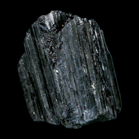 2.4" Natural Rough Black Tourmaline Mineral Crystal Specimen Schorl Brazil - Fossil Age Minerals