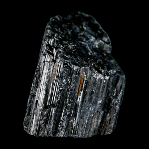 2.4" Natural Rough Black Tourmaline Mineral Crystal Specimen Schorl Brazil - Fossil Age Minerals