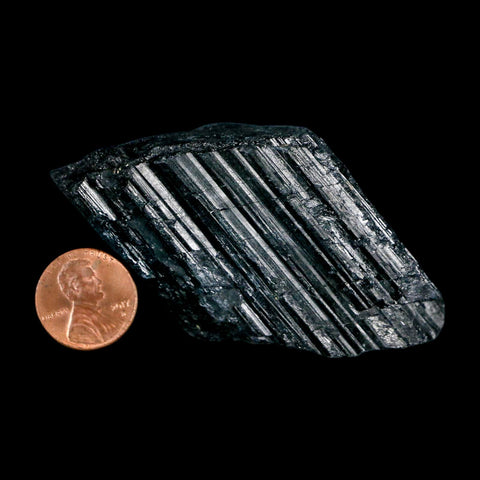 2.4" Natural Rough Black Tourmaline Mineral Crystal Specimen Schorl Brazil - Fossil Age Minerals