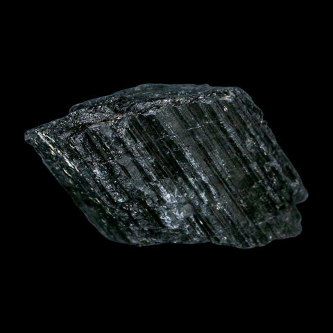 2.4" Natural Rough Black Tourmaline Mineral Crystal Specimen Schorl Brazil - Fossil Age Minerals