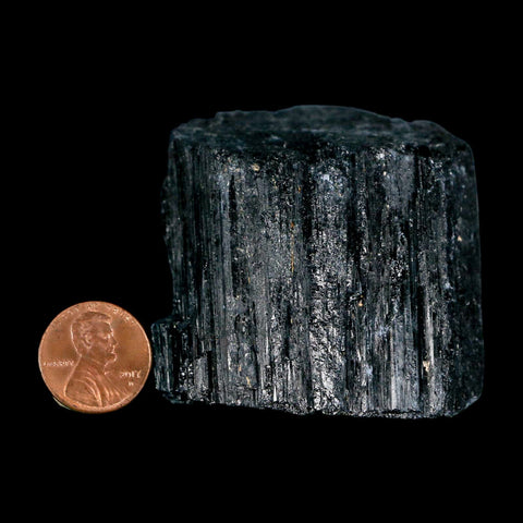 2.3" Natural Rough Black Tourmaline Mineral Crystal Specimen Schorl Brazil - Fossil Age Minerals