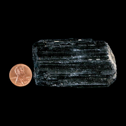 2.7" Natural Rough Black Tourmaline Mineral Crystal Specimen Schorl Brazil - Fossil Age Minerals