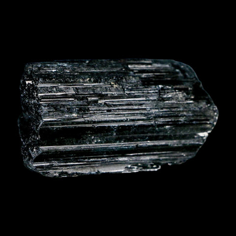 2.7" Natural Rough Black Tourmaline Mineral Crystal Specimen Schorl Brazil - Fossil Age Minerals