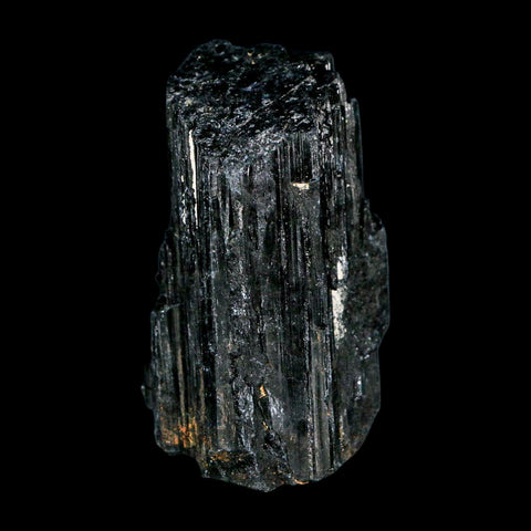 2.7" Natural Rough Black Tourmaline Mineral Crystal Specimen Schorl Brazil - Fossil Age Minerals