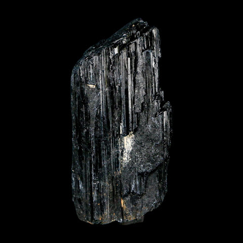 2.7" Natural Rough Black Tourmaline Mineral Crystal Specimen Schorl Brazil - Fossil Age Minerals