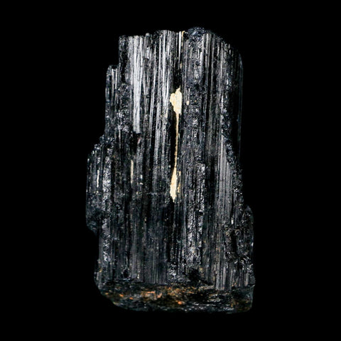 2.7" Natural Rough Black Tourmaline Mineral Crystal Specimen Schorl Brazil - Fossil Age Minerals