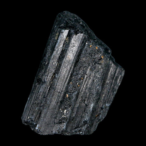 2.4" Natural Rough Black Tourmaline Mineral Crystal Specimen Schorl Brazil - Fossil Age Minerals