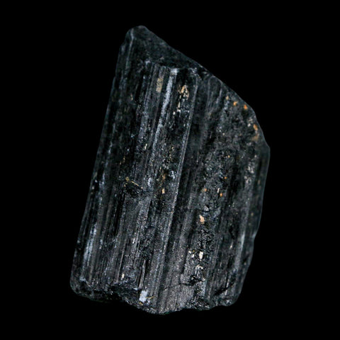 2.4" Natural Rough Black Tourmaline Mineral Crystal Specimen Schorl Brazil - Fossil Age Minerals