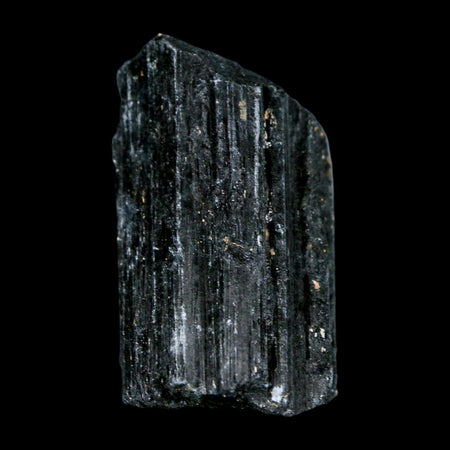 2.4" Natural Rough Black Tourmaline Mineral Crystal Specimen Schorl Brazil