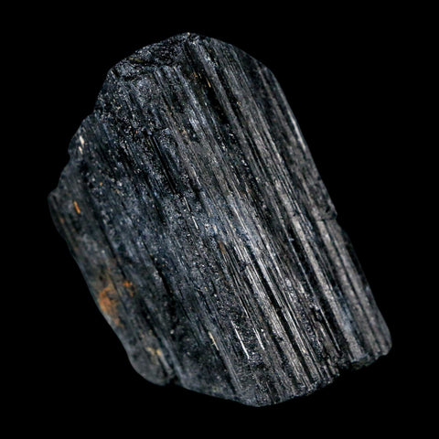 2.4" Natural Rough Black Tourmaline Mineral Crystal Specimen Schorl Brazil - Fossil Age Minerals