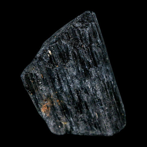 2.4" Natural Rough Black Tourmaline Mineral Crystal Specimen Schorl Brazil - Fossil Age Minerals