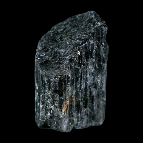 2.4" Natural Rough Black Tourmaline Mineral Crystal Specimen Schorl Brazil - Fossil Age Minerals