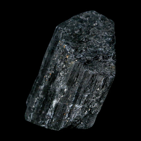 2.4" Natural Rough Black Tourmaline Mineral Crystal Specimen Schorl Brazil - Fossil Age Minerals