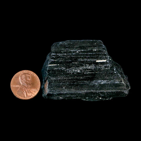 2.2" Natural Rough Black Tourmaline Mineral Crystal Specimen Schorl Brazil - Fossil Age Minerals