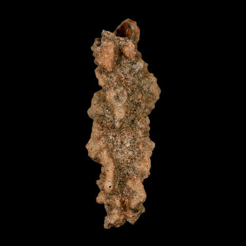 2.5" Fulgurite Petrified Lightning Strike Glass Sahara Desert Algeria - Fossil Age Minerals