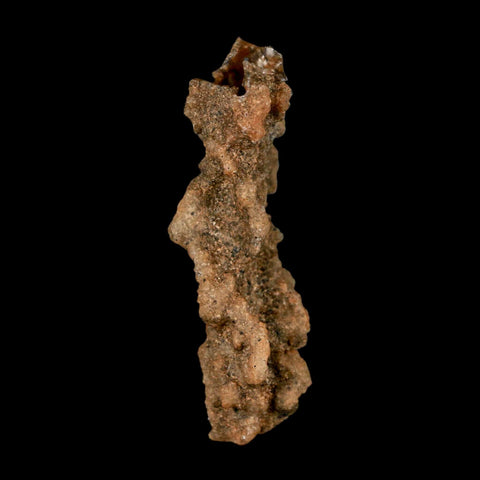 2.5" Fulgurite Petrified Lightning Strike Glass Sahara Desert Algeria - Fossil Age Minerals