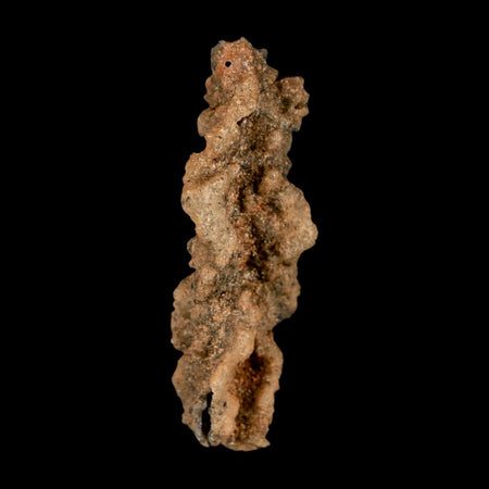 2.5" Fulgurite Petrified Lightning Strike Glass Sahara Desert Algeria