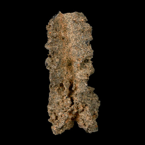 2.7" Fulgurite Petrified Lightning Strike Glass Sahara Desert Algeria - Fossil Age Minerals