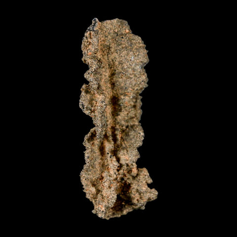 2.7" Fulgurite Petrified Lightning Strike Glass Sahara Desert Algeria - Fossil Age Minerals