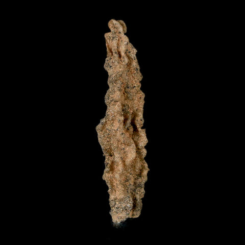 2.6" Fulgurite Petrified Lightning Strike Glass Sahara Desert Algeria - Fossil Age Minerals