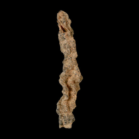 2.6" Fulgurite Petrified Lightning Strike Glass Sahara Desert Algeria - Fossil Age Minerals