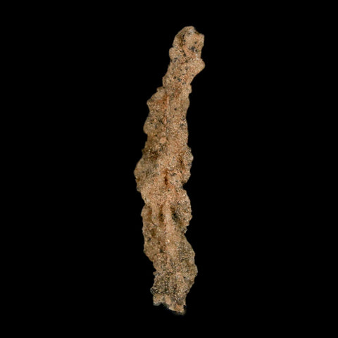 2.6" Fulgurite Petrified Lightning Strike Glass Sahara Desert Algeria - Fossil Age Minerals
