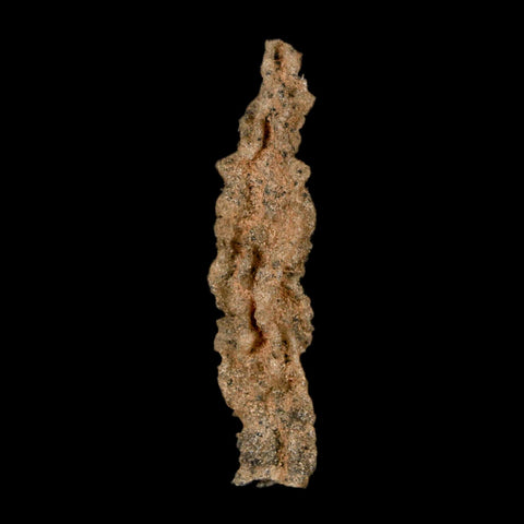 2.6" Fulgurite Petrified Lightning Strike Glass Sahara Desert Algeria - Fossil Age Minerals