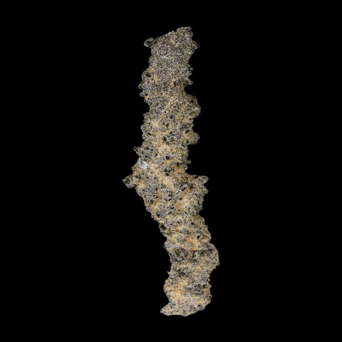 2.8" Fulgurite Petrified Lightning Strike Glass Sahara Desert Algeria - Fossil Age Minerals
