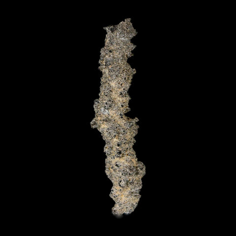 2.8" Fulgurite Petrified Lightning Strike Glass Sahara Desert Algeria - Fossil Age Minerals