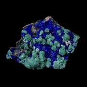 1" Azurite Crystals & Malachite On Matrix Mineral Specimen Tiznit Morocco