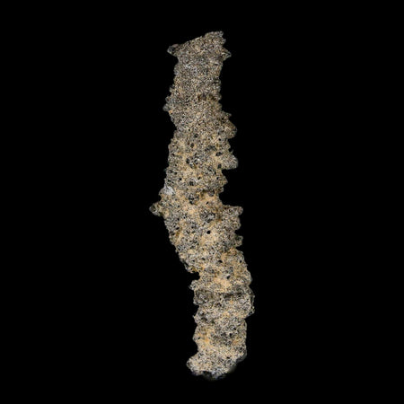 2.8" Fulgurite Petrified Lightning Strike Glass Sahara Desert Algeria
