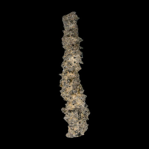 2.8" Fulgurite Petrified Lightning Strike Glass Sahara Desert Algeria - Fossil Age Minerals