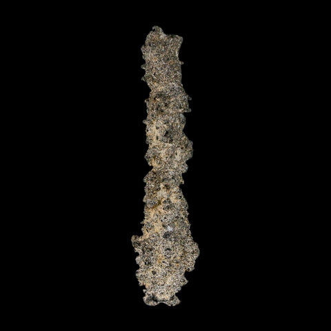 2.8" Fulgurite Petrified Lightning Strike Glass Sahara Desert Algeria - Fossil Age Minerals
