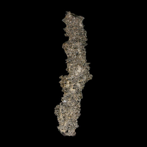 2.8" Fulgurite Petrified Lightning Strike Glass Sahara Desert Algeria - Fossil Age Minerals