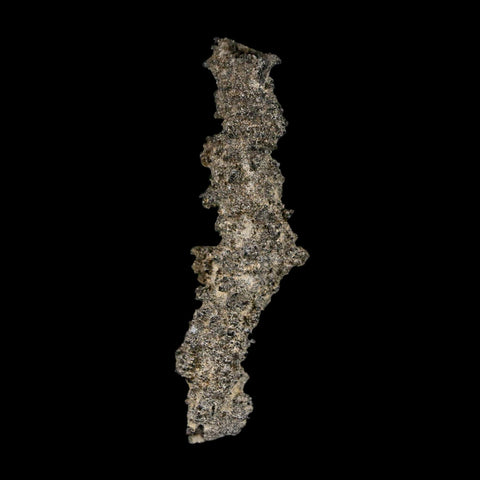 2.8" Fulgurite Petrified Lightning Strike Glass Sahara Desert Algeria - Fossil Age Minerals