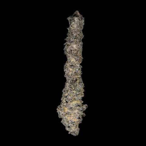 2.8" Fulgurite Petrified Lightning Strike Glass Sahara Desert Algeria - Fossil Age Minerals