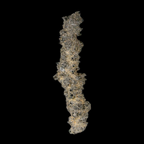 2.8" Fulgurite Petrified Lightning Strike Glass Sahara Desert Algeria - Fossil Age Minerals