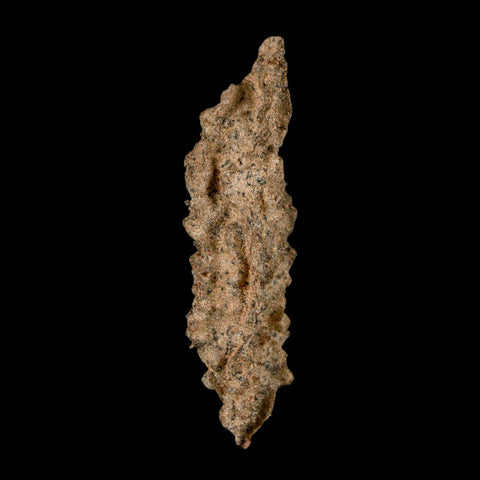 2.7" Fulgurite Petrified Lightning Strike Glass Sahara Desert Algeria - Fossil Age Minerals