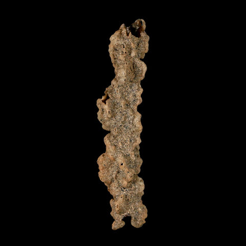 3.5" Fulgurite Petrified Lightning Strike Glass Sahara Desert Algeria - Fossil Age Minerals