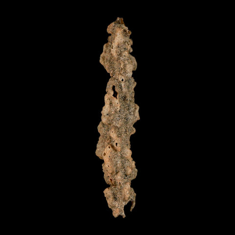 3.5" Fulgurite Petrified Lightning Strike Glass Sahara Desert Algeria - Fossil Age Minerals